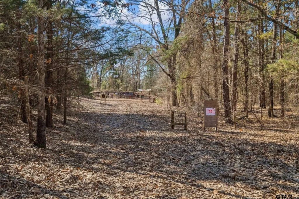 Miranda Lambert country music