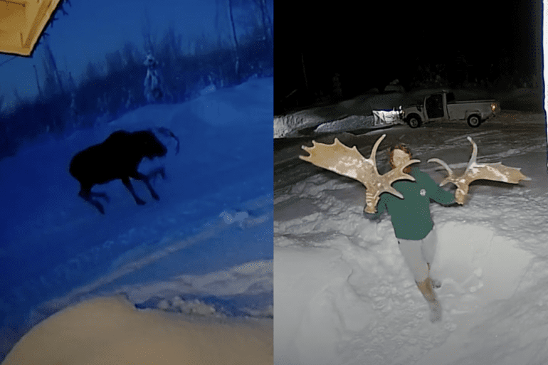 moose shed
