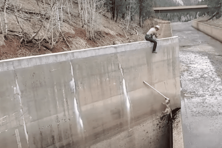 mountain lion rescue