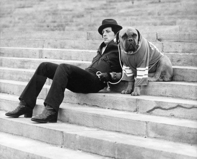 A man and a dog sitting on steps