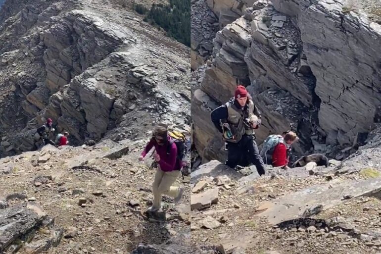 Hikers run from bear