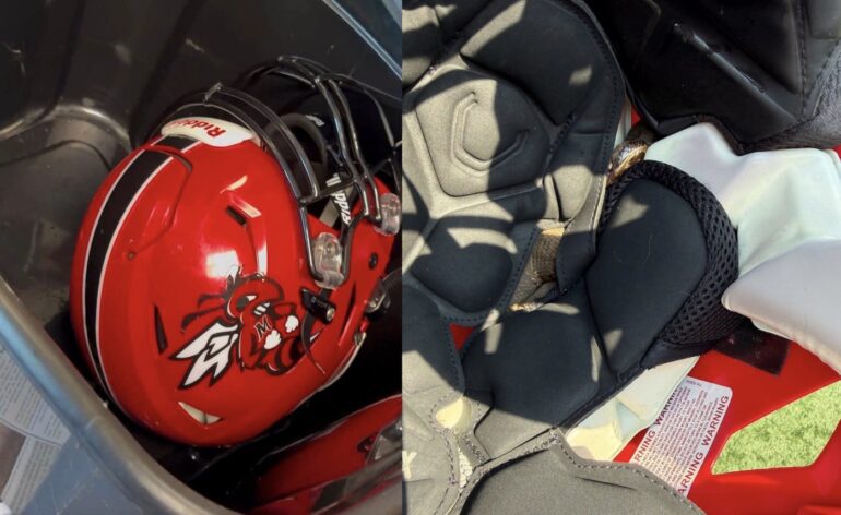 snake in helmet