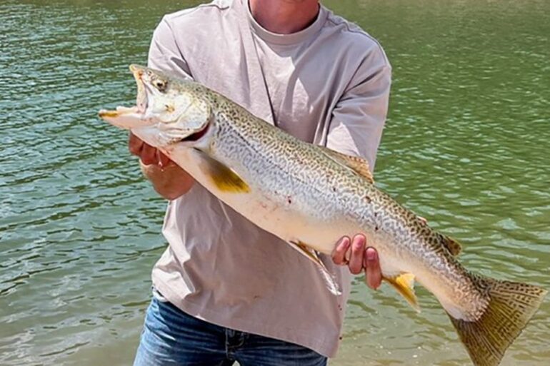 Record trout