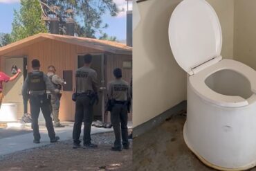 toilet