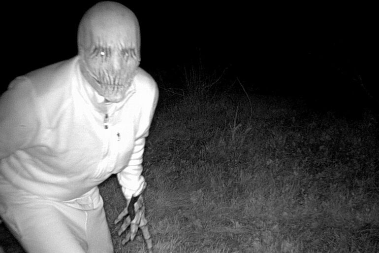 Trail cam Wyoming